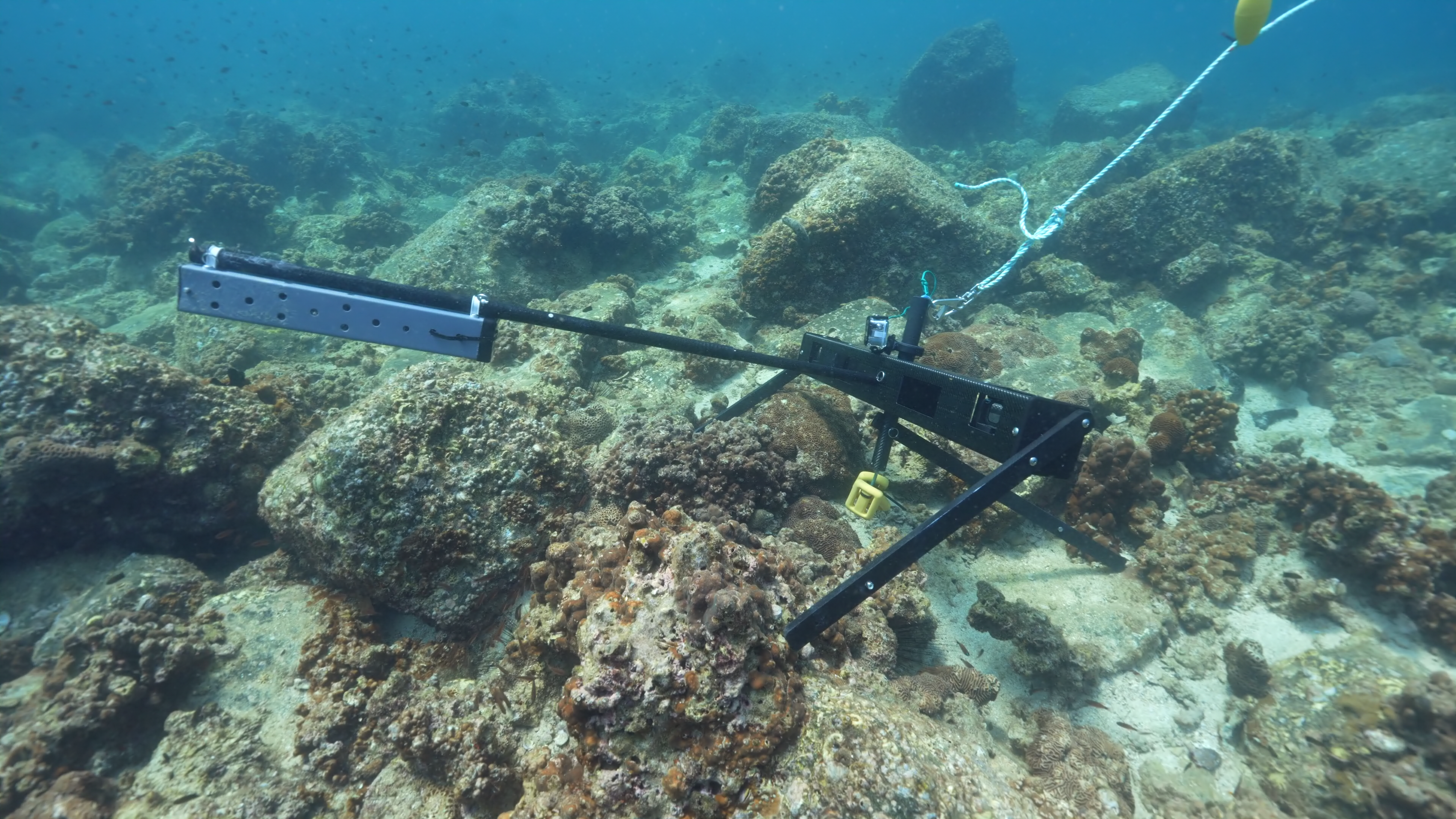 Benchmark ecological survey of the Al Qalqali MPA