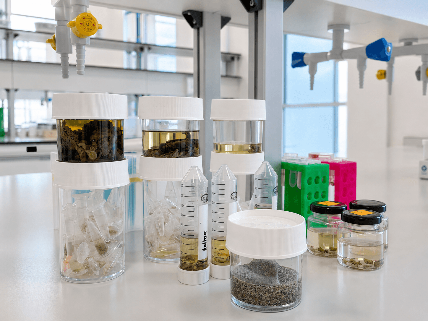 Molecular Ecology and Genomics